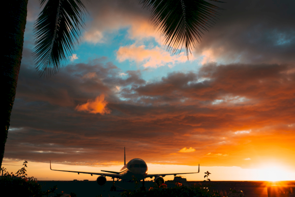 A small airplane on the beach at sunset, silhouetted by palm trees with a fiery orange sky and dark clouds.