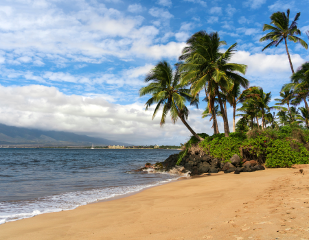 A tropical beach with golden sand, calm waves, and tall palm trees lining rocky shores under a bright blue sky with scattered clouds.