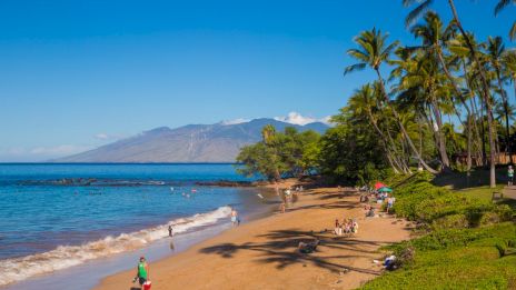 A tropical beach scene with golden sand, calm blue ocean, palm trees, and a few people lounging and strolling along the shore under a clear sky.