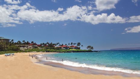 A sunny beach scene with golden sand, turquoise water, and a few waves; palm trees and houses line the shore under a bright sky.