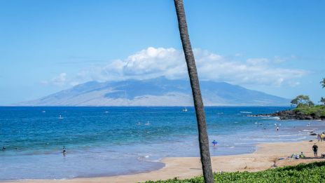 A sunny beach scene with clear blue water, a sandy shore, palm tree foreground, people swimming and relaxing, and distant mountains on the horizon.