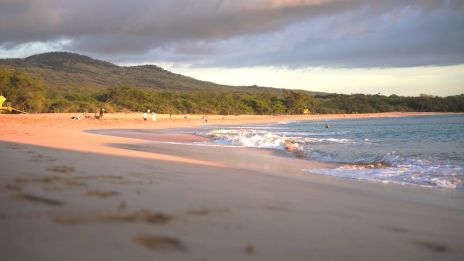 A tranquil beach scene with golden sand, gentle waves, a forested hillside, and a few distant visitors enjoying the shoreline.