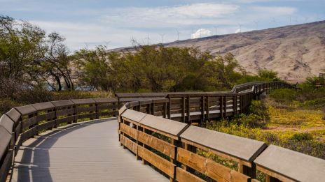 A winding wooden boardwalk curves through a dry, hilly landscape with shrubs and distant wind turbines under a clear sky. This path invites a peaceful walk.
