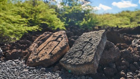 Two large weathered rocks rest on a rocky shoreline, with green bushes and a blue sky in the background, suggesting a rugged outdoor scene.