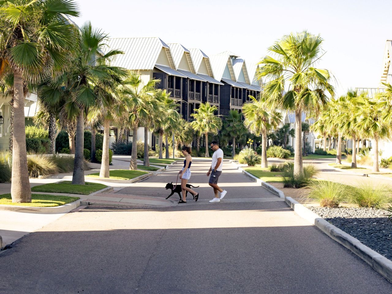 Coraltree Residence Collection