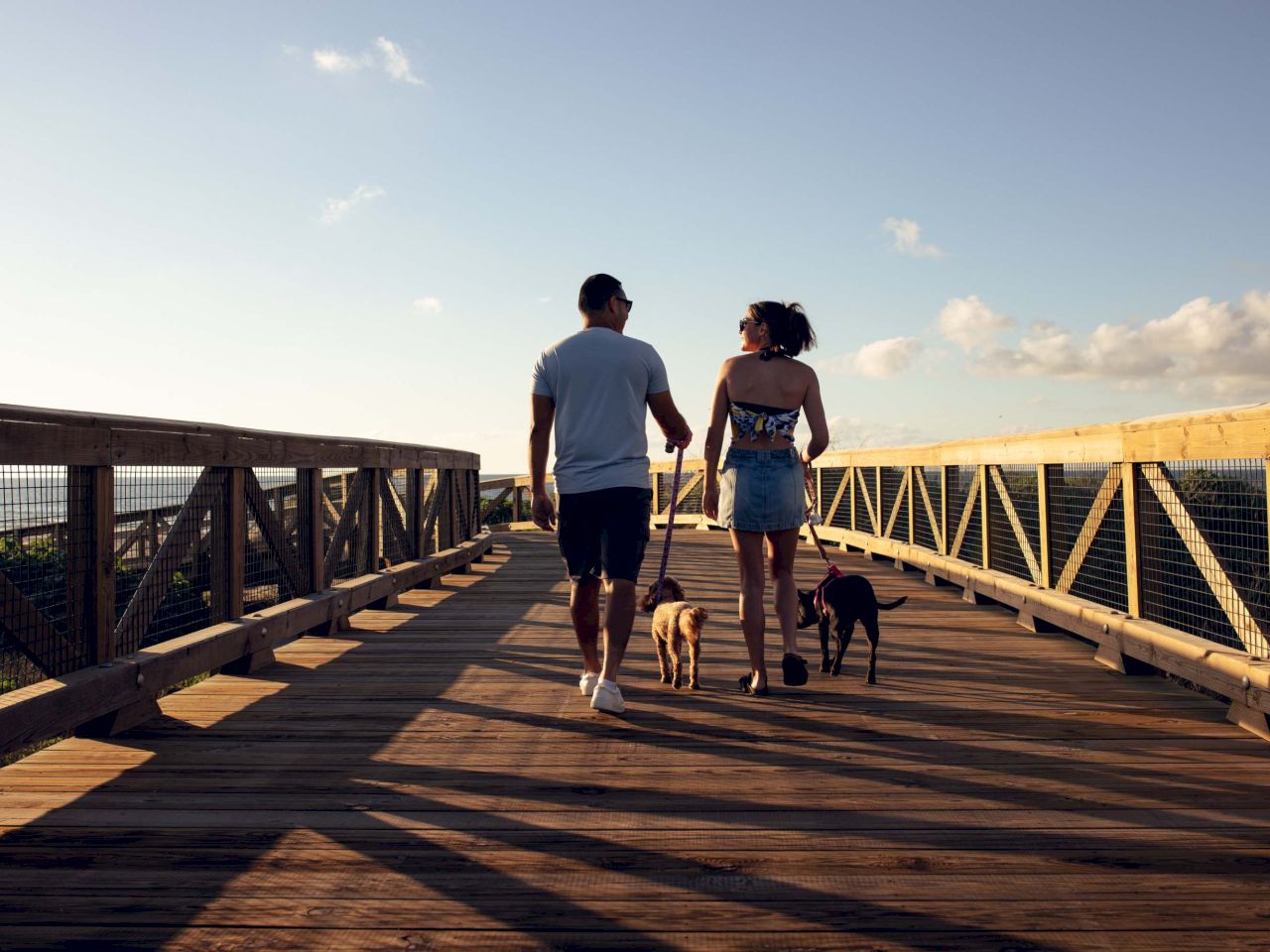 A couple walks dogs on a wooden pier at sunset, holding hands and enjoying a peaceful stroll together.