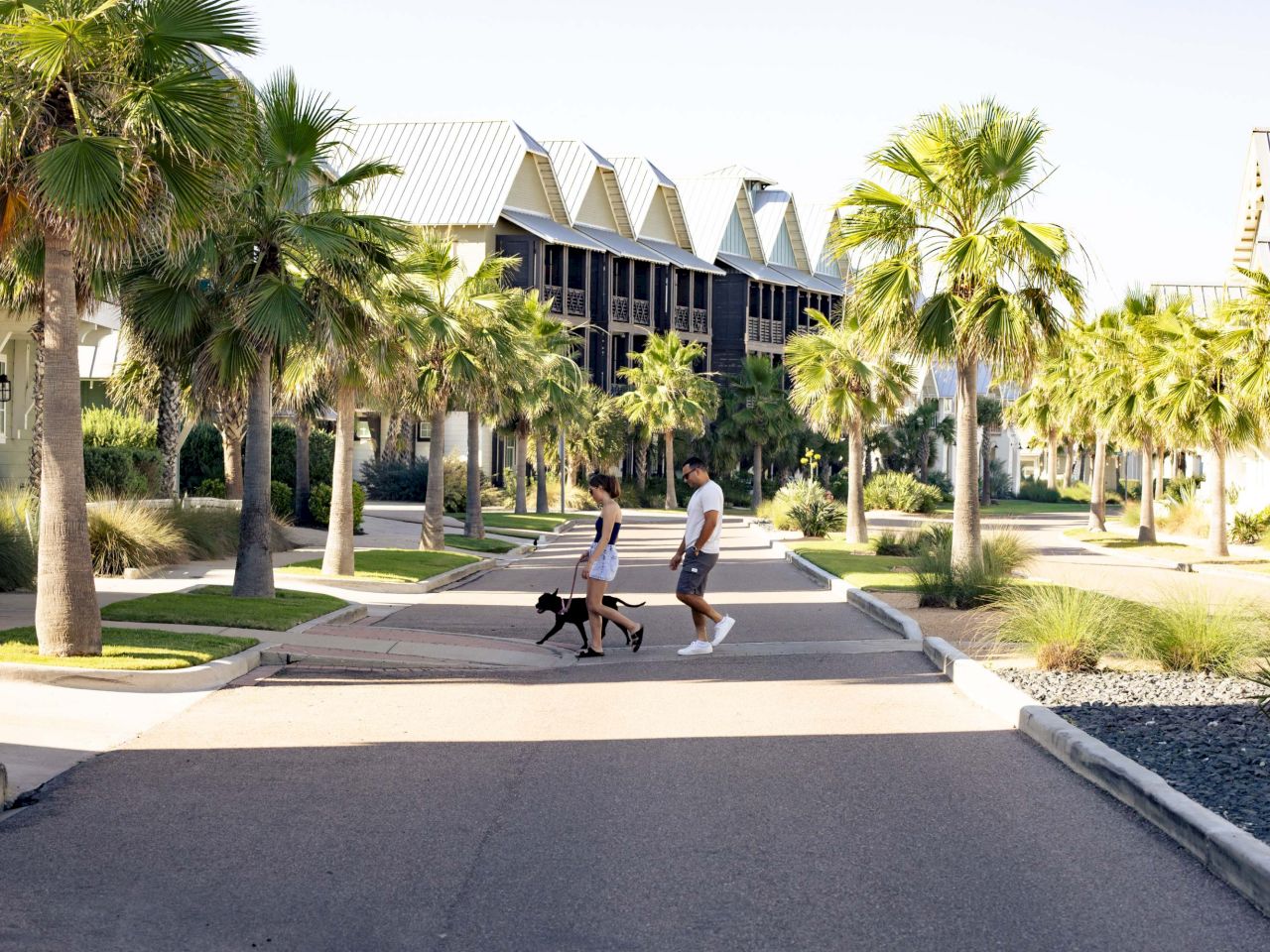 Coraltree Residence Collection