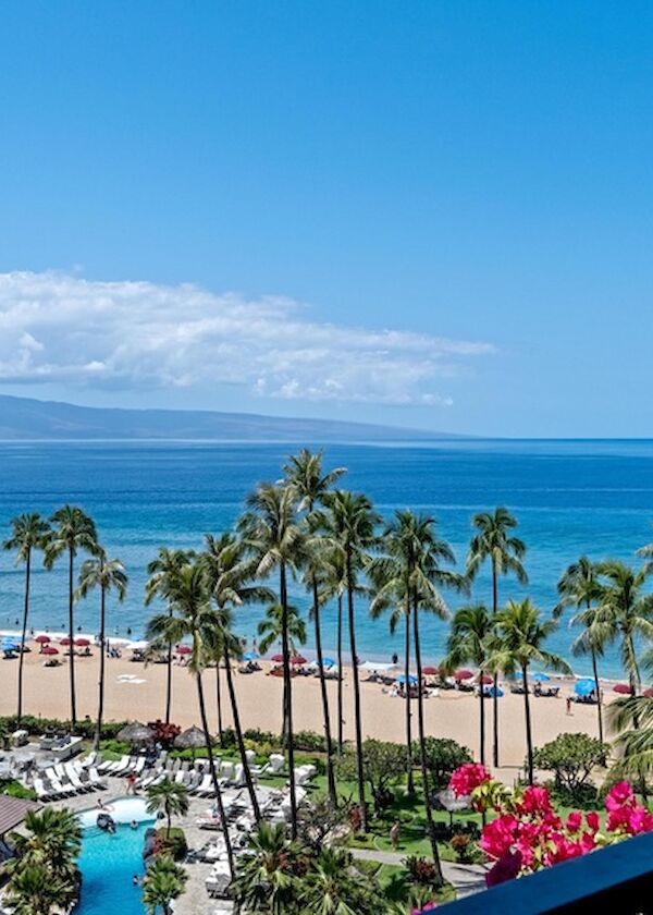 A tropical beach view with tall palm trees, a turquoise sea, blue sky, a sandy shore, pool area, and a nearby hotel balcony with blooming flowers.