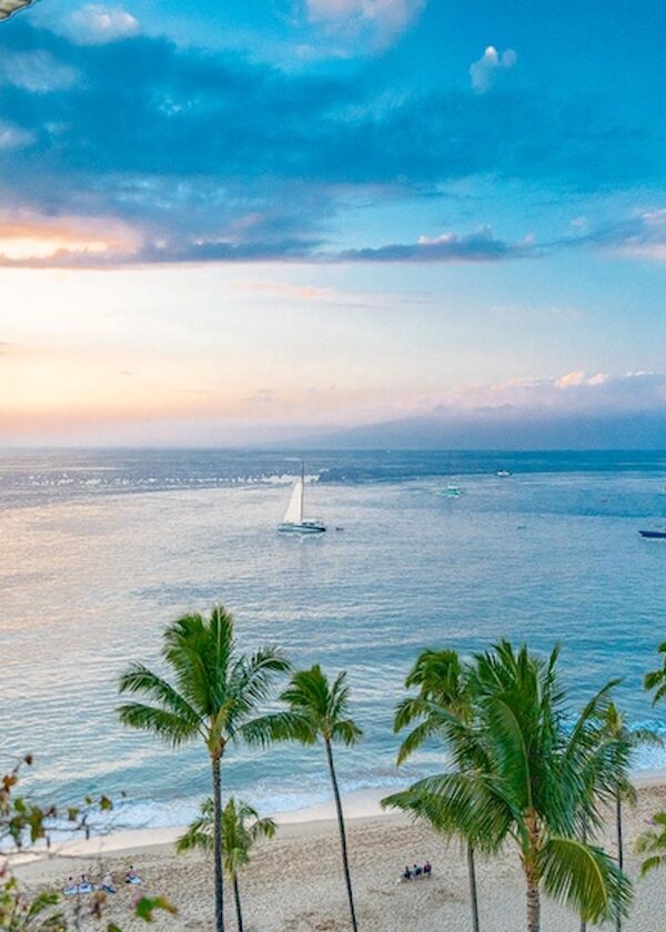 Sunset over the ocean from a balcony, palm trees along the beach, gentle waves and a calm horizon, glassy water and a sailboat in view.