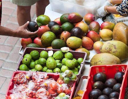 A street fruit stand with ripe mangos, avocados, limes, and colorful produce in baskets; people grab fruit nearby; sunny market scene.